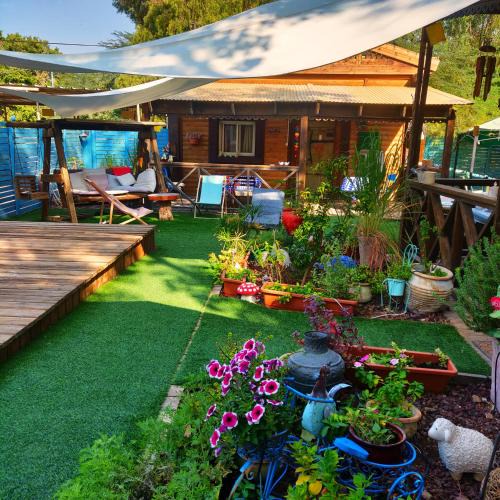 Neot HaKikar Cabin | ליבי במדבר מרחב לאקולוגיה של הריפוי Libi Bamidbar The Ecology of Healing Resort