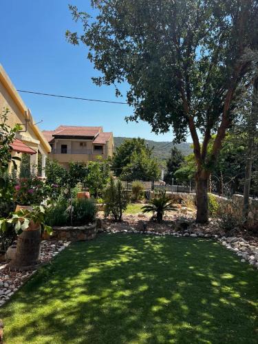 Shezor Hotel | צימרים בצפון וסביב כרמיאל בצפון-Amoresכרמיאל והסביבה