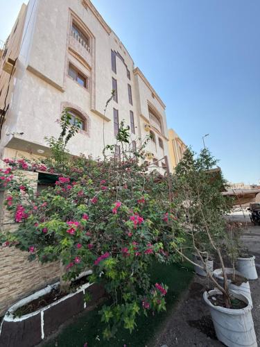 Medina Apartment | دار اليقين