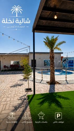 Buraydah Ski Chalet | شالية نخلة