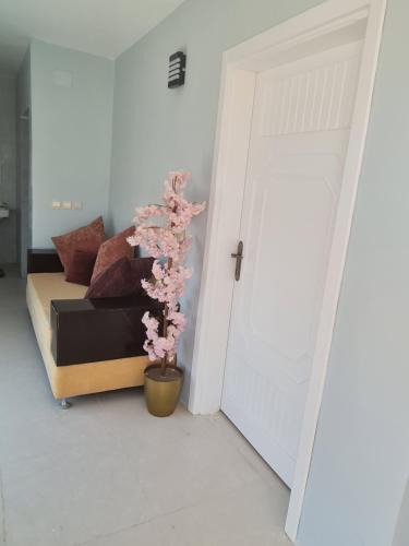 Al Bahah Apartment | شقة بحوش خاص