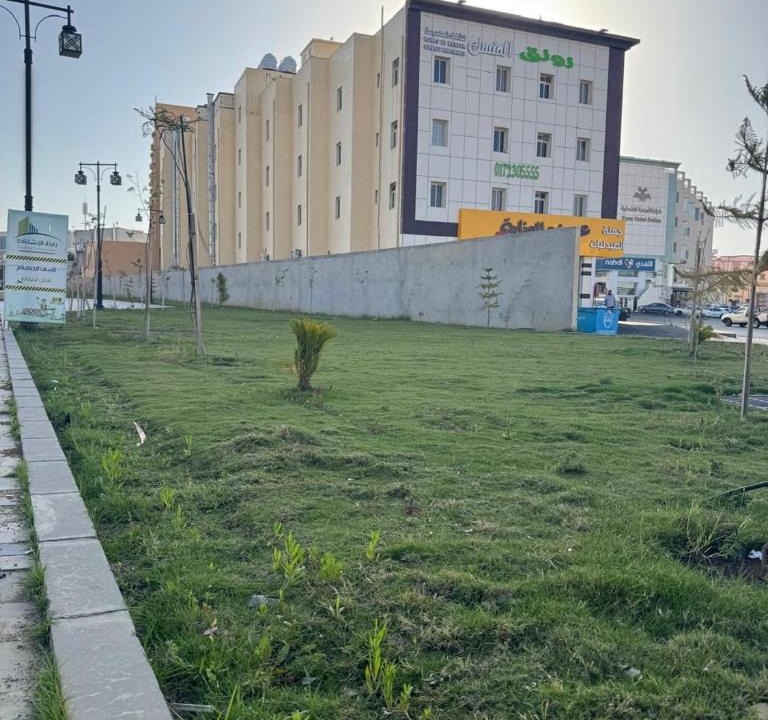 Abha Apartment | شقق رونق المنسك المخدومة