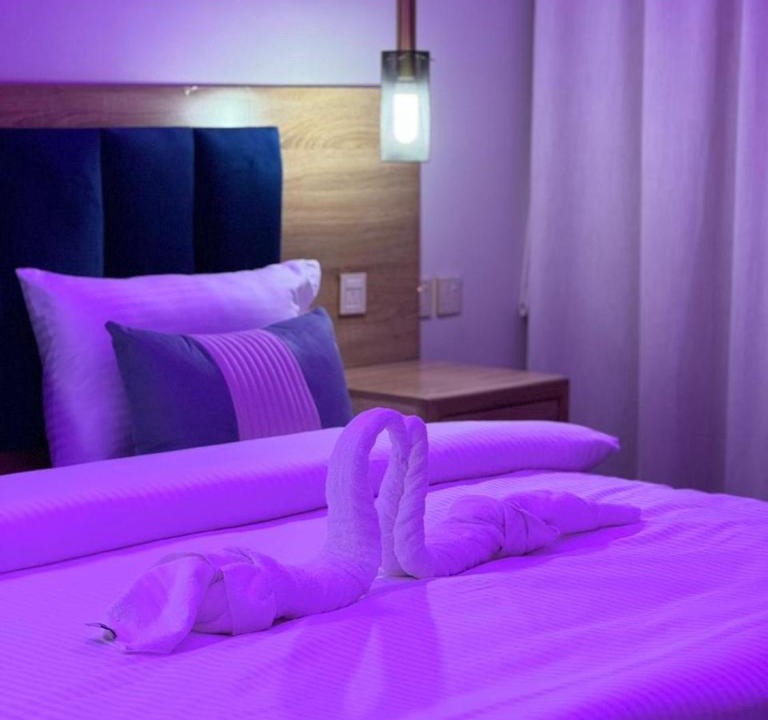 Al Duwadimi Apartment | شقق ضيف بارك للشقق المخدومة
