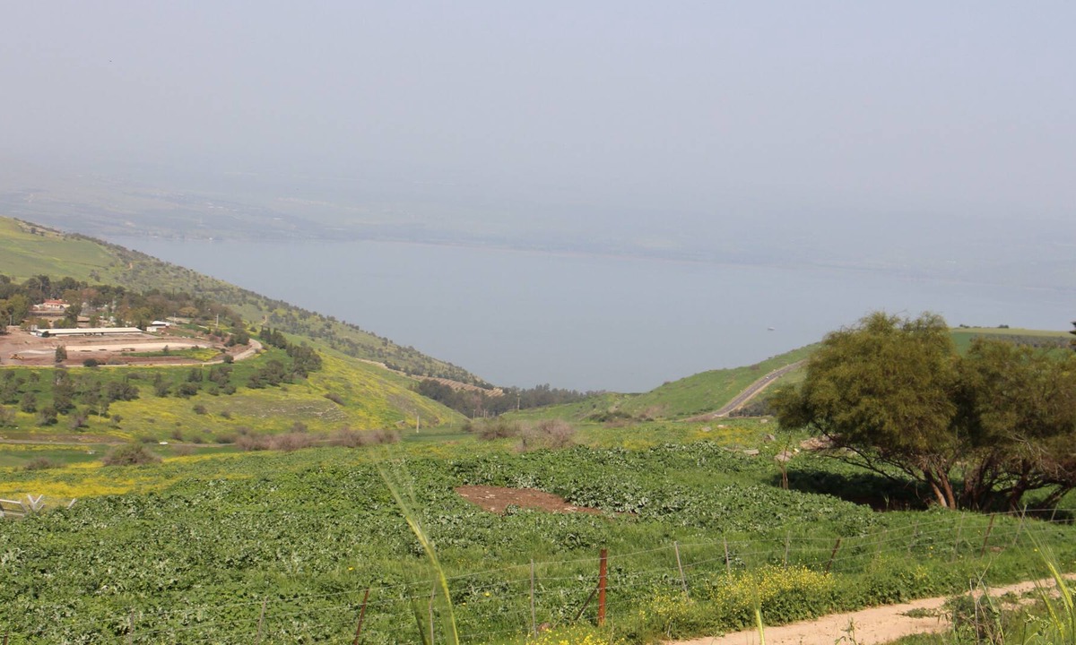 Arbel House | Arbel Guest House Shavit Family