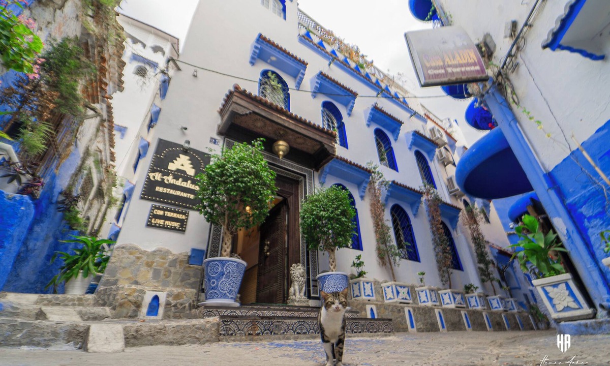 Chefchaouen House | Authentic Andalusian patio in the heart of the blue pearl of the Rif