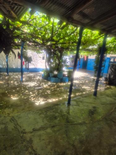Zoumi House | aZarif