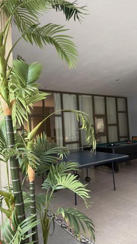Abha Ski Chalet | Chalet with private garden, pool and entertainment facilities