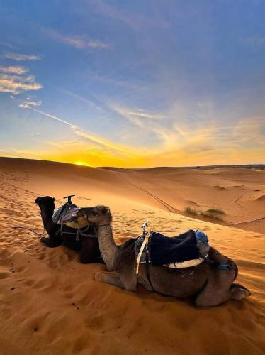 Merzouga Other | Erg Luxury Camp Merzouga