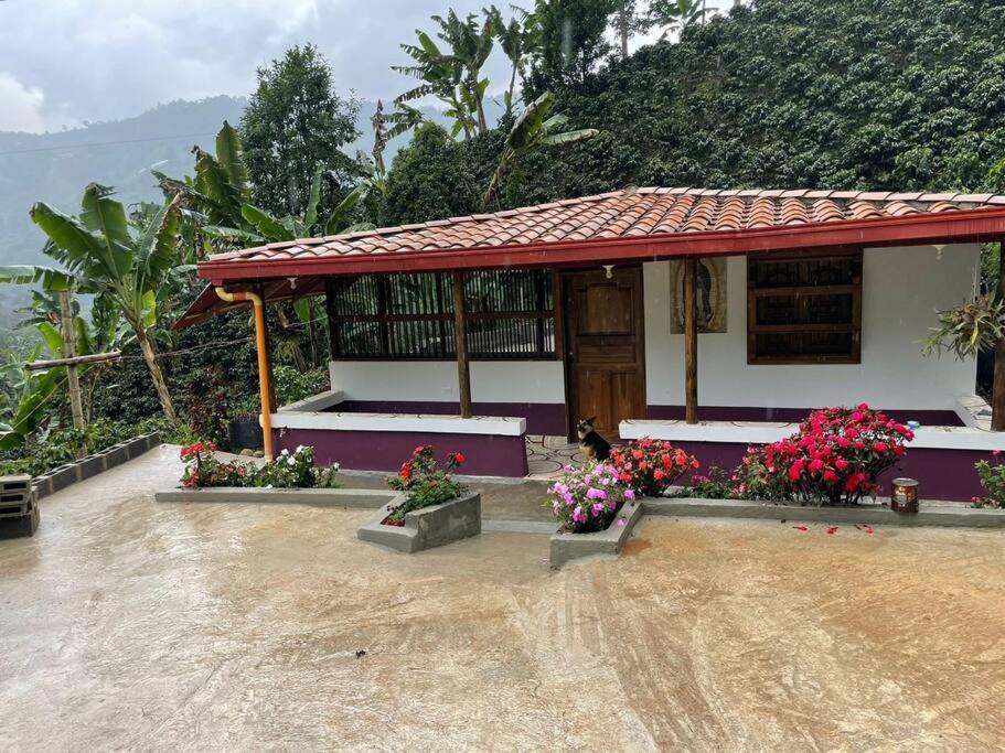 Jardin House | Finca de Café La Guadalupe, Casa de Campo Jardín
