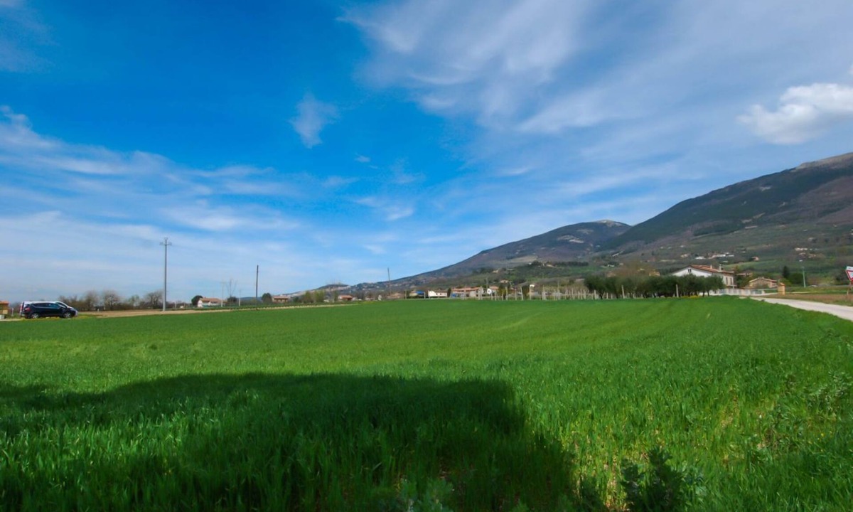 Case Nuove Apartment | GuestHost - Located in the Capodacqua district of Assisi, 5 km from Assisi, Casa Fiorelli is a quiet apartment surrounded by nature with a wonderful view that stretches from Assisi to Mount Subasio.Located in a strategic position, it allows to reach in f