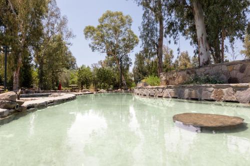 Qatsrin Other | Katzrin Village Glamping