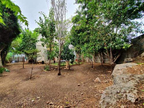 Harish House | La Casita - לה קסיטה