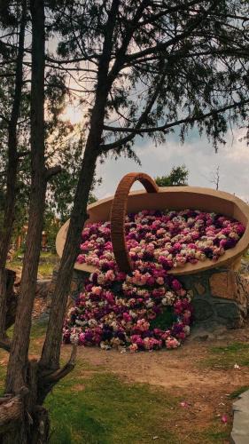 Ash Shafa Resort | Rawaat Ghaym