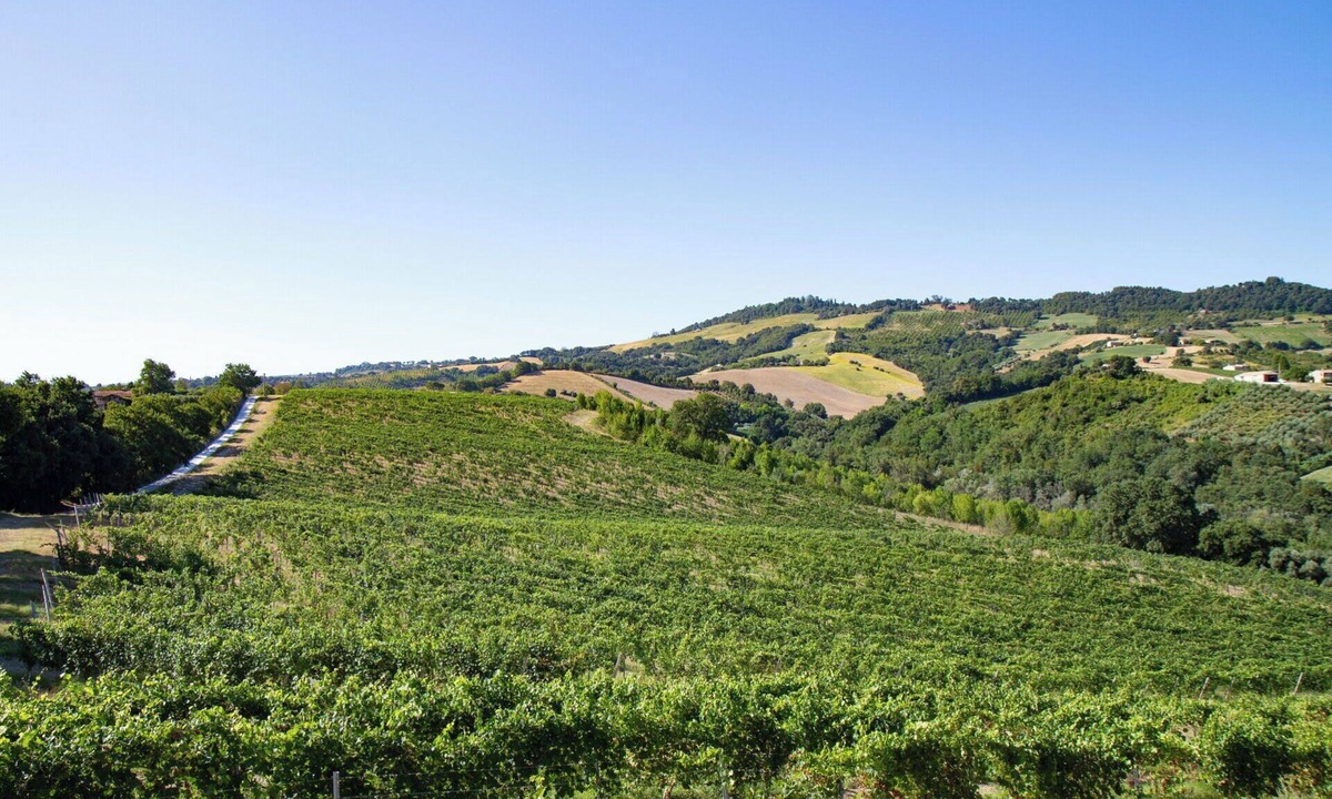 Cupramontana House | Stunning villa for 6 people with A/C, WIFI, TV, patio and panoramic view