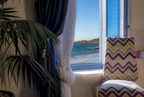 Taghazout Hostel | TEDDY PIRATE - Coliving