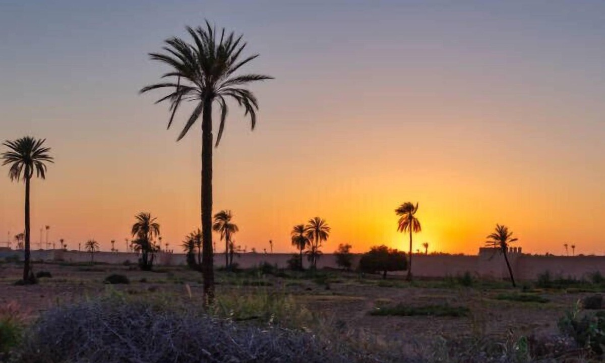 Zaouia Sidi Abdallah Ben Sassi Villa | The Villa of Peace.