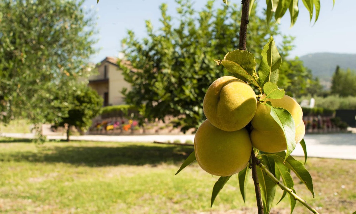 Spello Villa | villa julia in spello