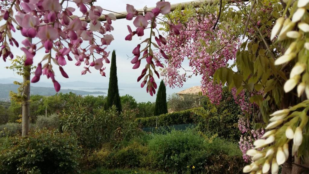 Passignano sul Trasimeno Apartment | Villa La Moraiola