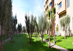 Studio Hotel - Studio 8