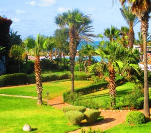 Dar Bouazza 