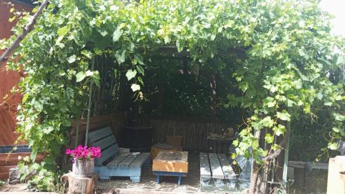Avnei Eitan Apartment | יחידת אירוח באבני איתן
