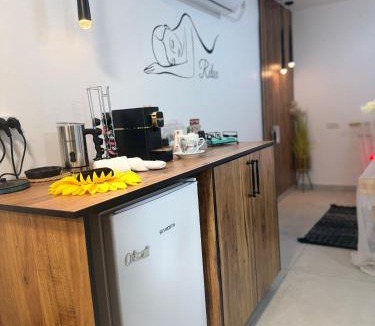 Ein Qiniyye Apartment | צימר סעידה עין קנייא