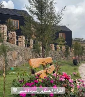Abha Al Jadidah Cabin | أكواخ الصنوبر
