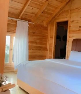 Abha Al Jadidah Cabin | أكواخ الصنوبر