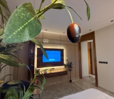 Abha Apartment | استديو القمة