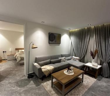 Al Aqiq Apartment | شقة انيقة بصالة وغرفة نوم - مدخل خاص
