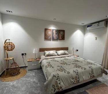 Al Aqiq Apartment | شقة انيقة بصالة وغرفة نوم - مدخل خاص