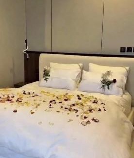 Taif Ski Chalet | فيلا شاليه ذا ويسس