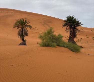 Merzouga Resort | 4x4 trip overdunse