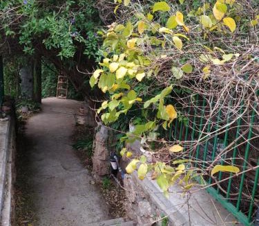 Snir House | A place for the soul