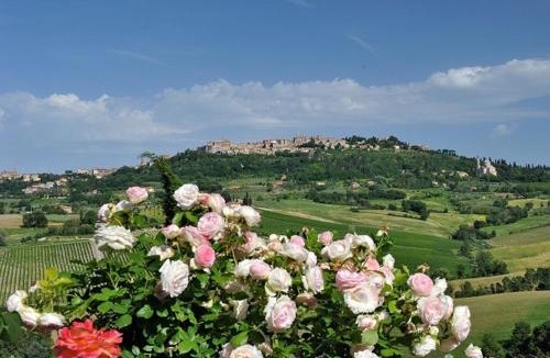 Montepulciano House | Agriturismo La Creta