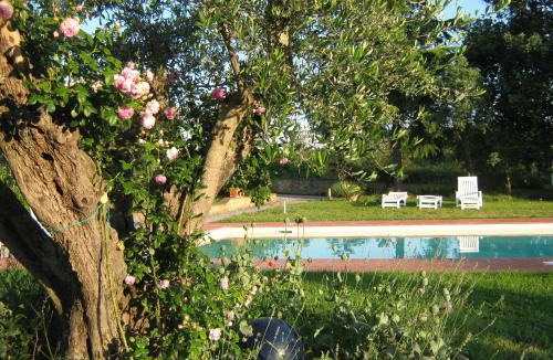 Cinigiano House | Agriturismo Poderino