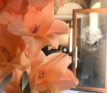 Acquasanta Terme Hotel | Albergo Ristorante Terme