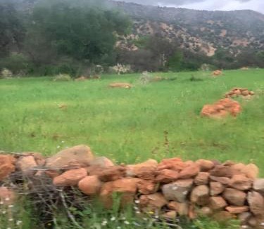 Drargua Villa | Amadlane Ayoub