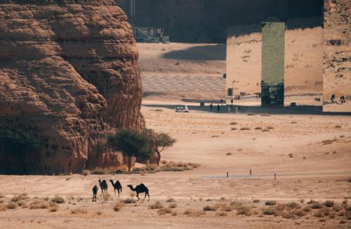 Ramm Other | Ashar Tented Resort