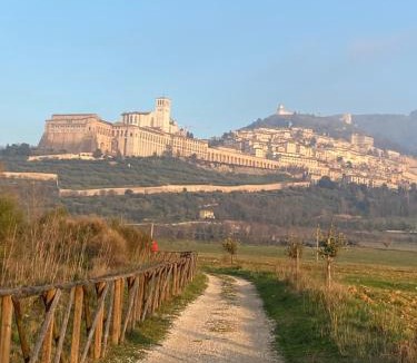 Santa Maria degli Angeli Bed & Breakfast | B&B Domus Benedicta