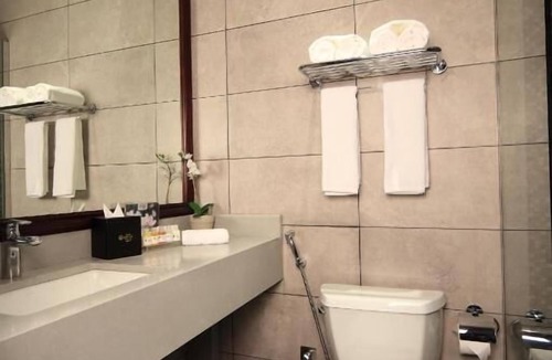 Riyadh Hotel | Best Plus Aurora Hotel
