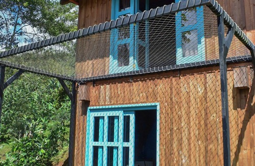 Jardin Cabin | Cabin among coffee plantations and on the road to the Cueva del Esplendor (Splendor Cave)