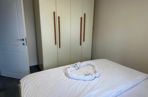 Isfiya House | carmel cabins suite nu 8