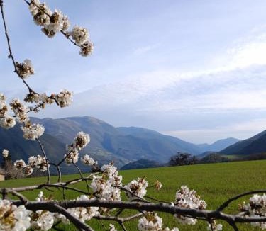 Vallo di Nera House | casa vacanze campagna in compagnia