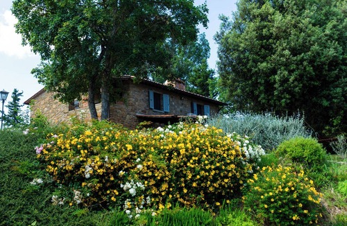 Monte San Savino Other | Casale 222: Nestled Among Olive Trees and Woods, with a Private Pool
