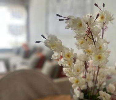 Dar Bouazza Apartment | Charmant appartement 2 chambres à Casablanca, à 10 min de la plage