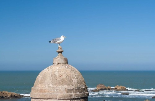Essaouira Coast House | Charmante Chambre Dans un Magnifique Riad Neuf