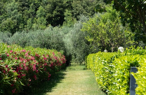 Precetto Apartment | COLLEOLIVO: Three-room apartment in farmhouse with swimming pool, Marmore Falls