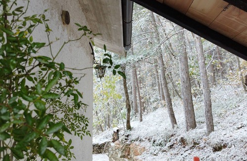 Sarnano House | Cozy little house in the woods! Relax, breathe, reconnect with Nature.