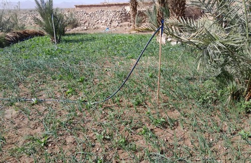 Oulad Yahia Lagraire House | dar elkarzabi